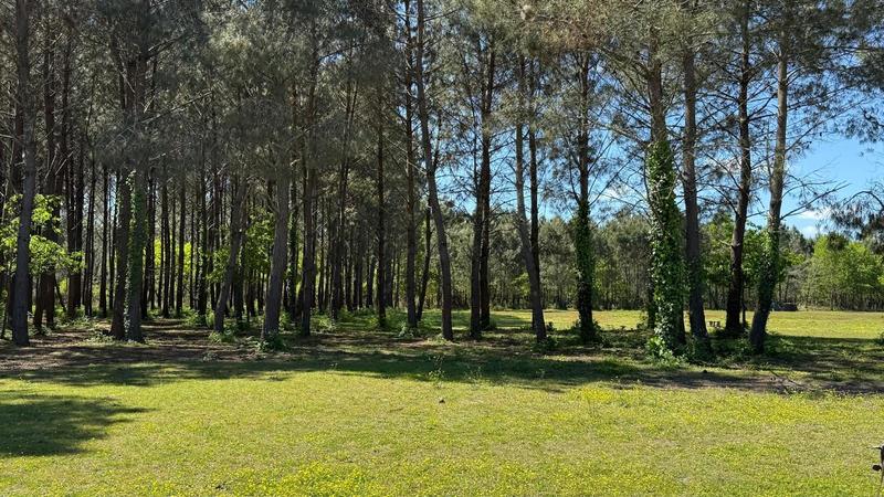 Maison - 156 m² - 7 pièces