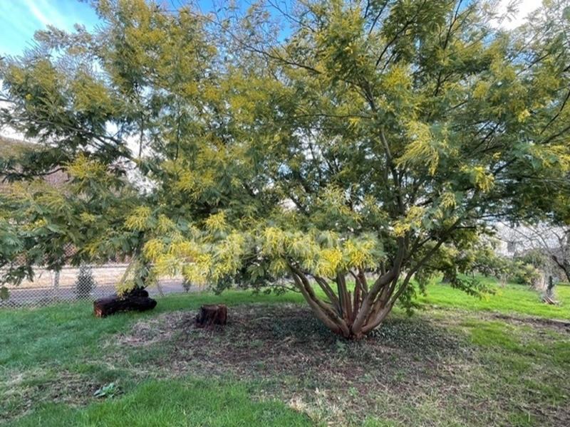 Terrain constructible - 450 m²