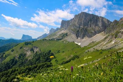 Manoir - 900 m² - 20 pièces