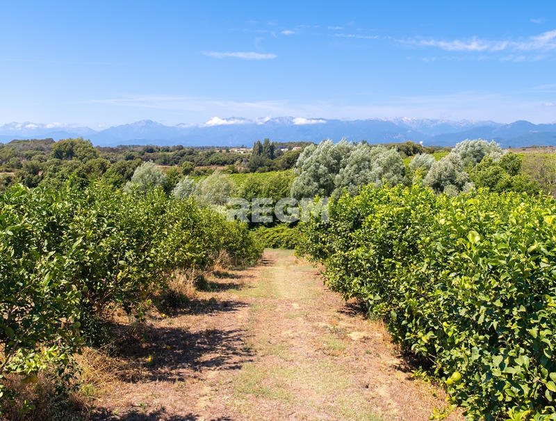 Terrain agricole - 300 000 m²