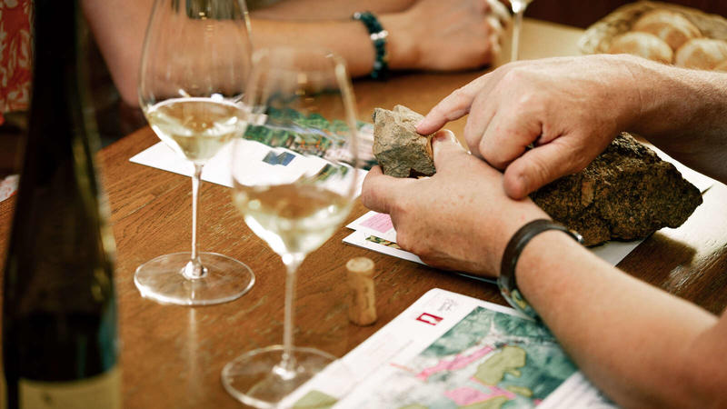 Parenthèse Vigneronne : les terroirs de Grands Crus