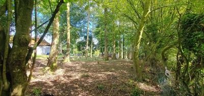 Longère - 94 m² - 5 pièces