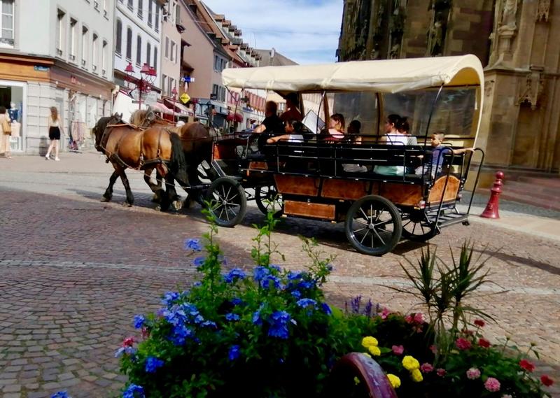 Balade en calèche en groupe