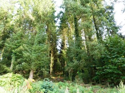 Terrain agricole - 13 280 m²