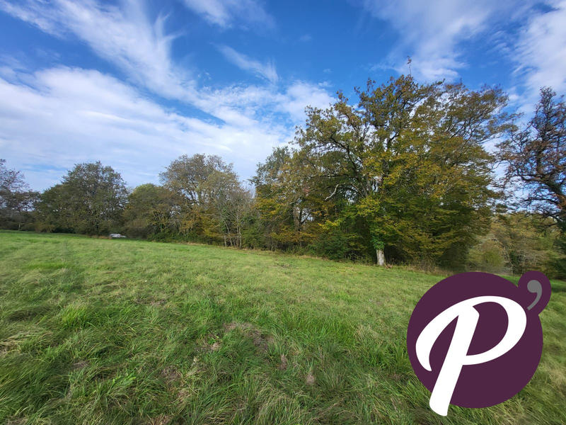 Terrain - 14 806 m²