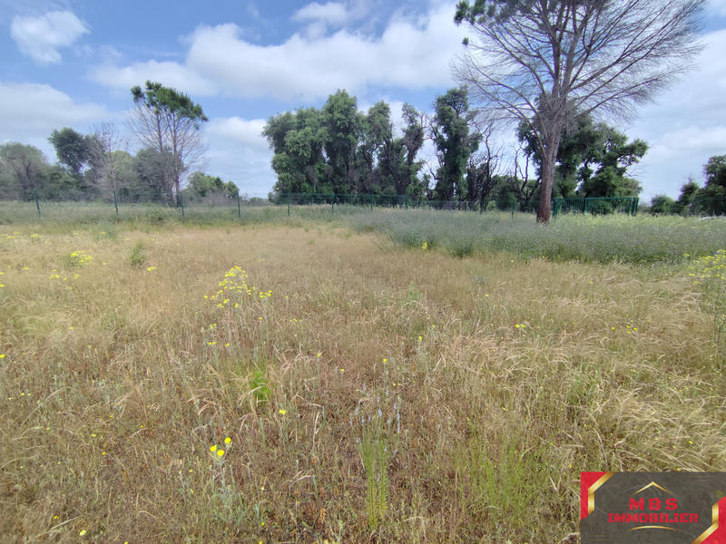 Terrain agricole - 1 450 m²