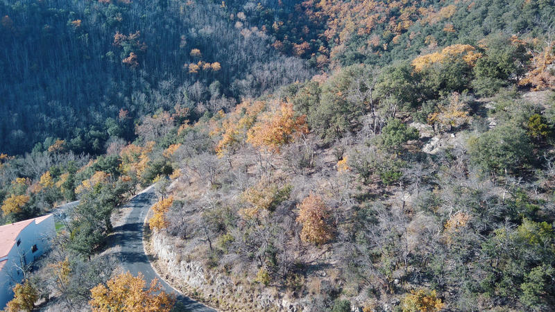 Terrain - 18 305 m²