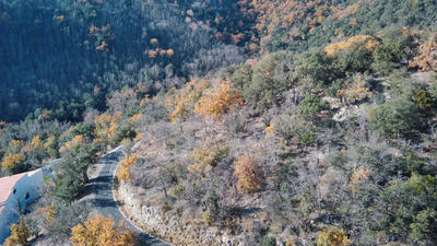 Terrain - 18 305 m²