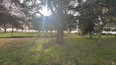 Maison - 200 m² - 4 pièces