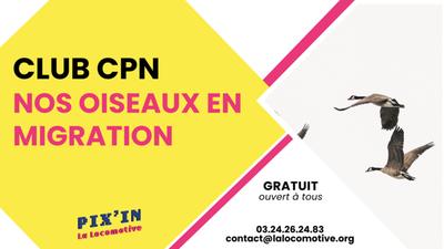 Nos oiseaux en migration - Atelier Cpn