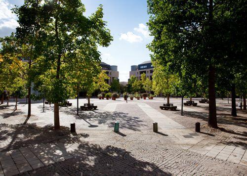 Appartement - 89 m² - 3 pièces