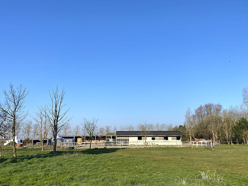 Propriété - 470 m² - 7 pièces