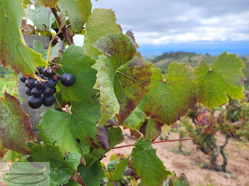 Terrain agricole - 27 297 m²