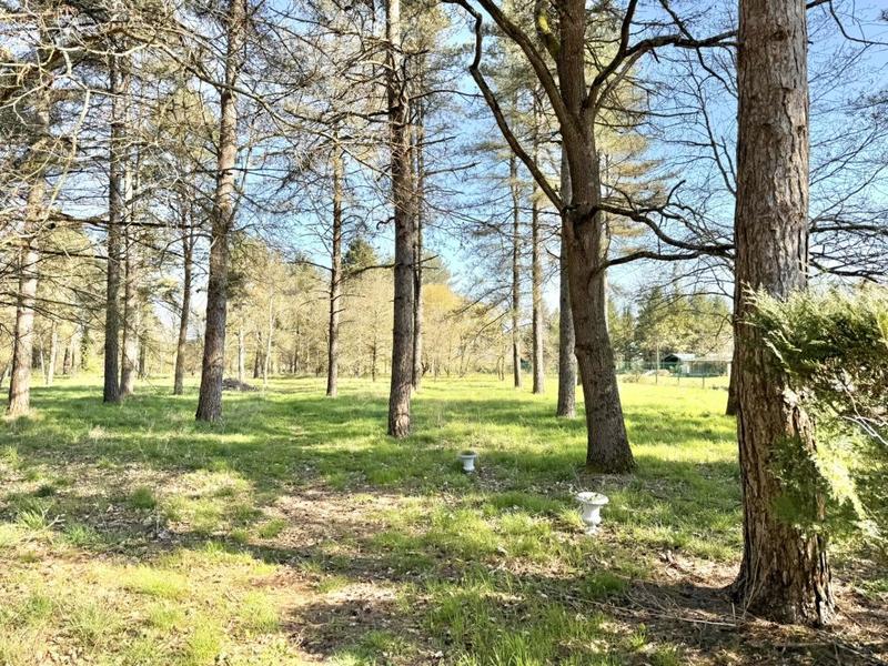 Terrain constructible - 6 260 m²