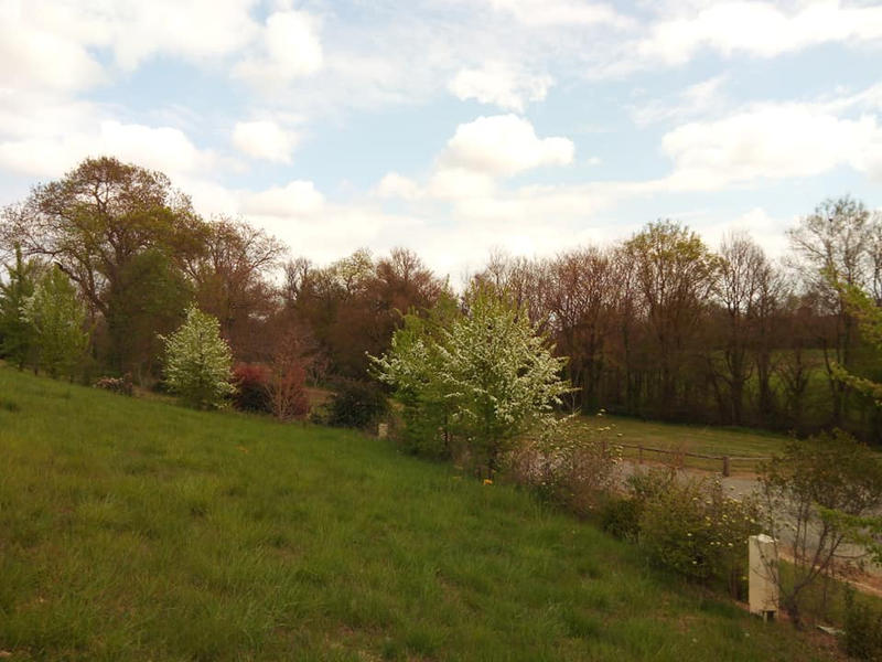 Terrain constructible - 2 524 m²