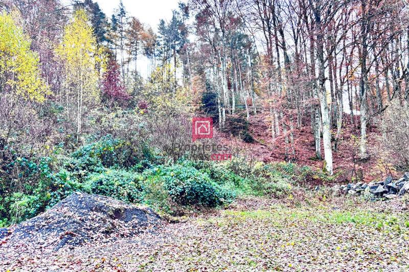 Terrain constructible - 3 200 m²