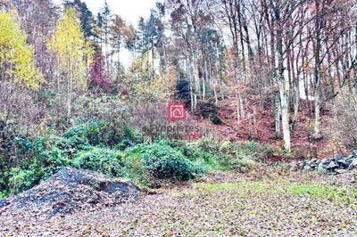 Terrain constructible - 3 200 m²