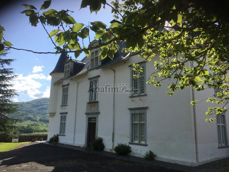 Château - 600 m² - 16 pièces