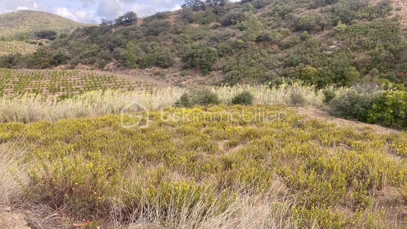 Terrain agricole - 4 685 m²