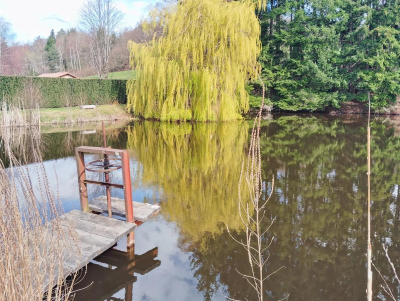 Propriété - 220 m² - 7 pièces