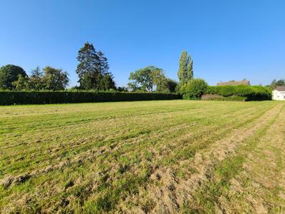Terrain - 1 288 m²