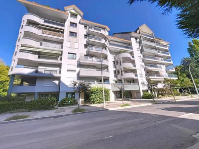 Studio - 37 m² - 1 pièce