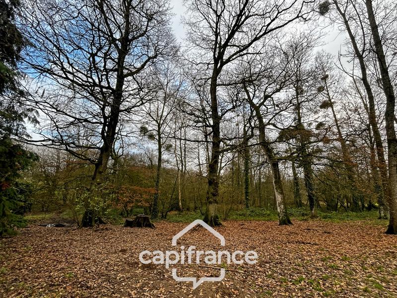 Maison - 220 m² - 10 pièces