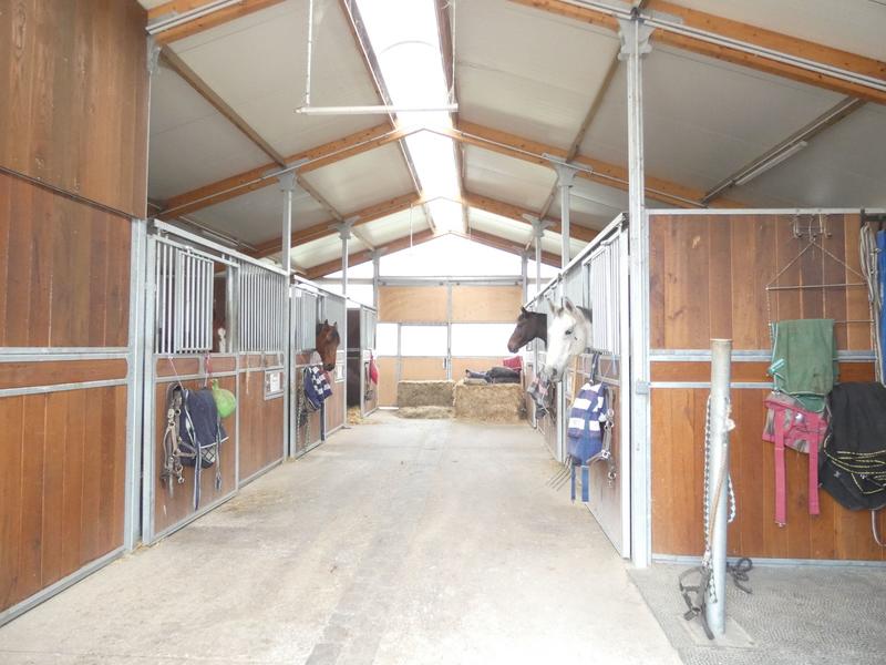 Maison de domaine équestre - 360 m² - 10 pièces