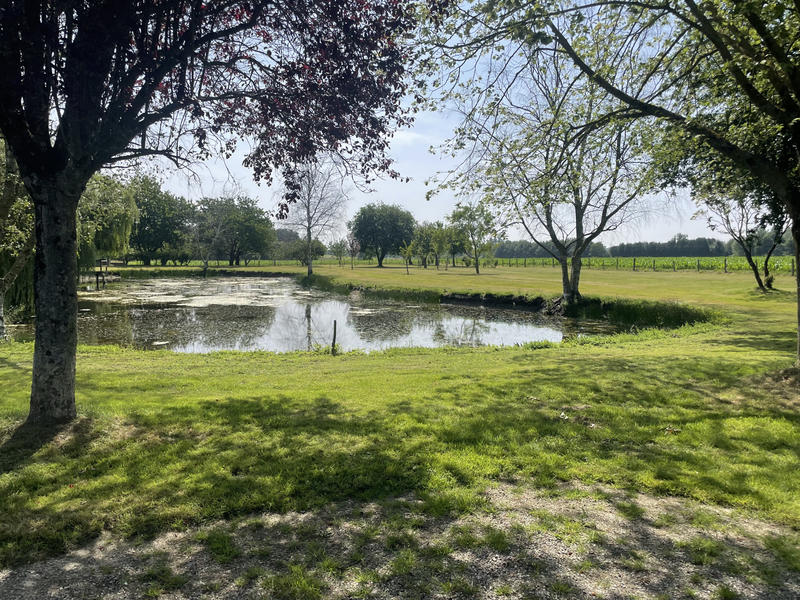 Terrain de loisirs - 7 548 m²