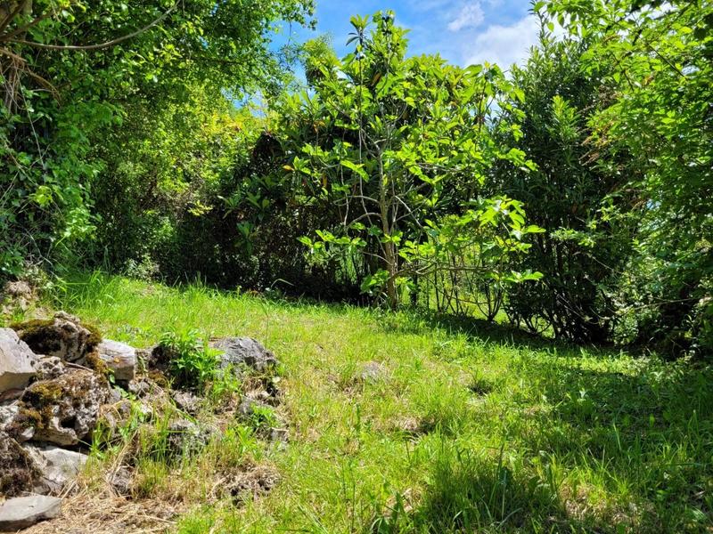 Maison - 181 m² - 4 pièces