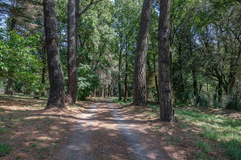 Maison - 226 m² - 6 pièces