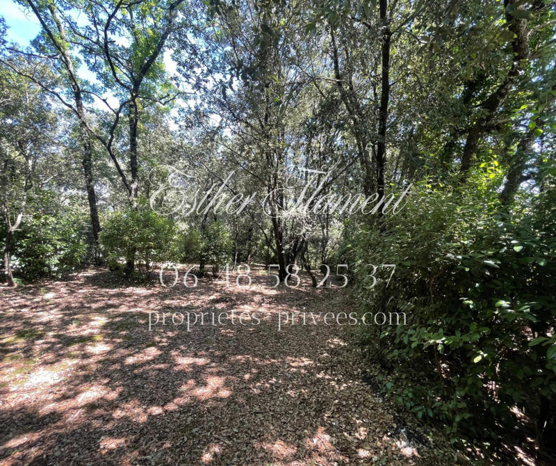 Villa - 137 m² - 4 pièces