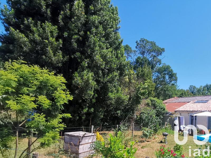 Maison - 75 m² - 2 pièces