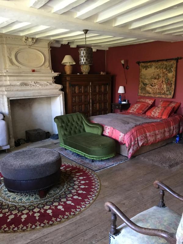 Manoir - 450 m² - 16 pièces