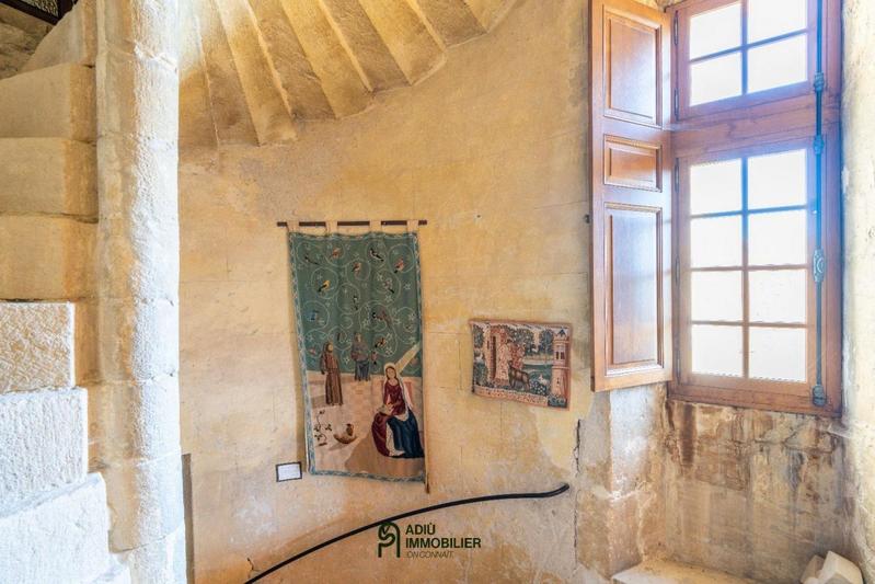 Château - 550 m² - 11 pièces