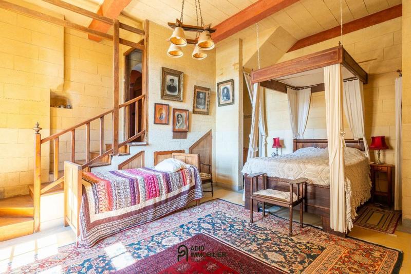 Château - 550 m² - 11 pièces