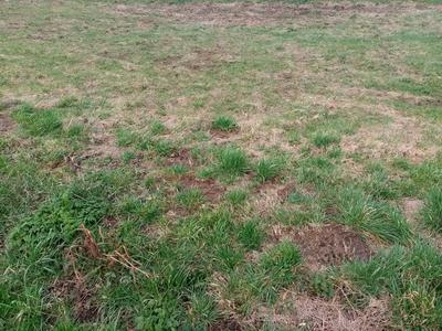 Terrain constructible - 738 m²