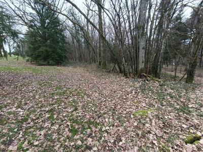 Terrain de golf - 3 645 m²