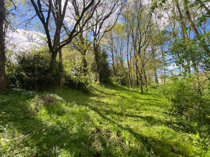 Maison - 145 m² - 7 pièces