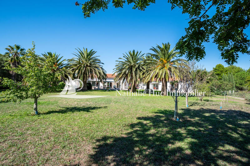 Maison - 256 m² - 7 pièces