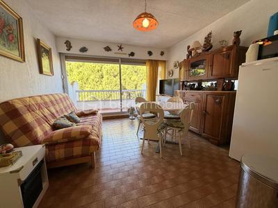 Studio - 24 m² - 1 pièce