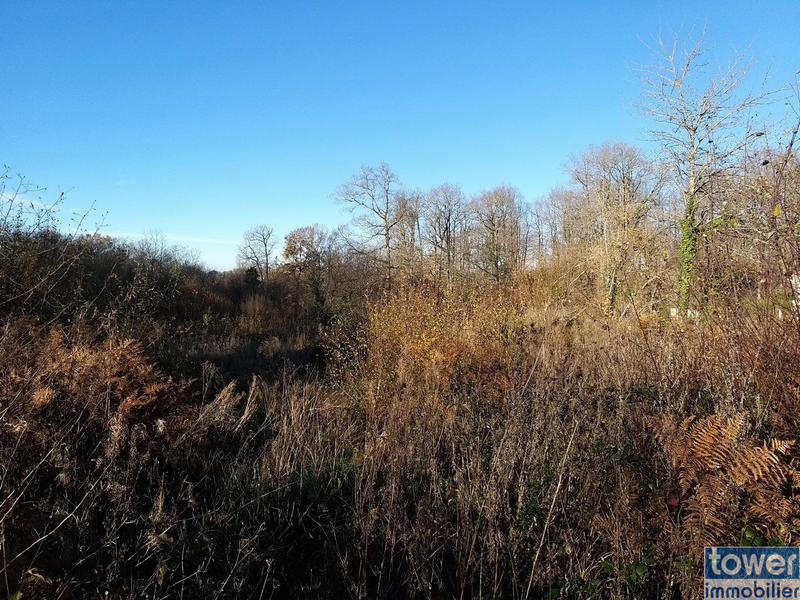 Terrain - 2 640 m²