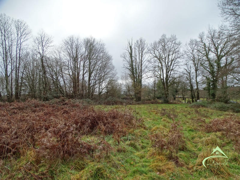 Terrain agricole - 10 541 m²