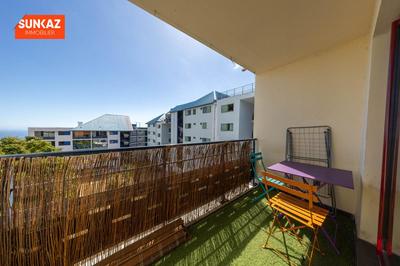 Studio - 25 m² - 1 pièce