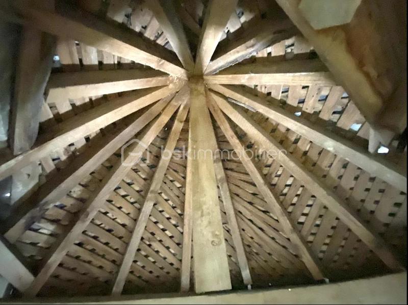 Château - 300 m² - 8 pièces