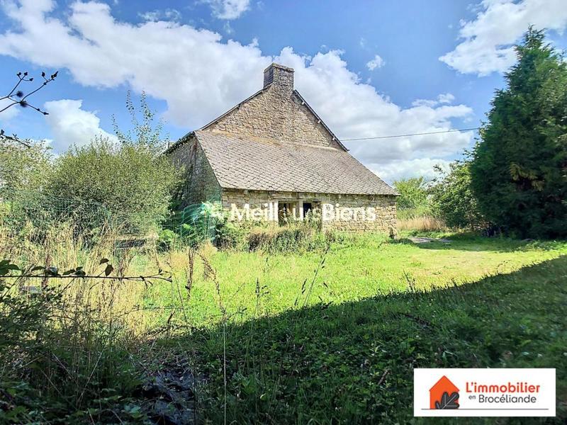 Longère - 250 m² - 5 pièces