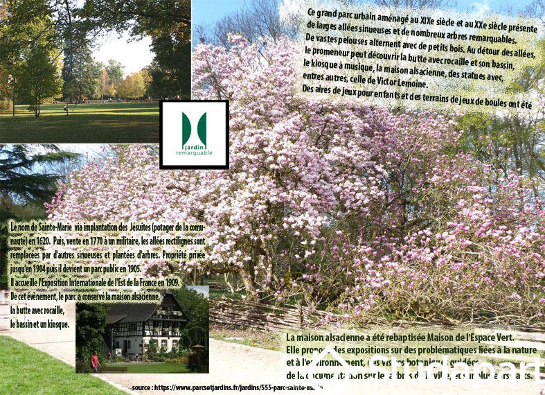 Appartement - 27 m² - 2 pièces