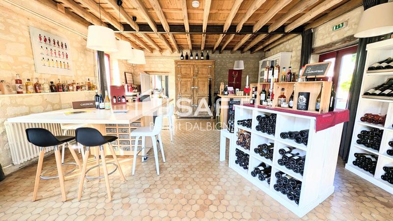 Maison - 361 m² - 12 pièces