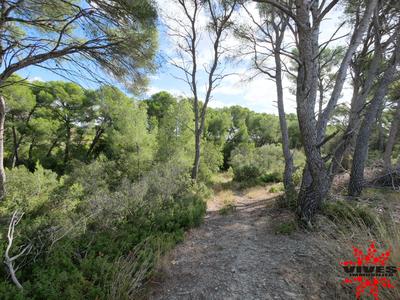 Terrain de loisirs - 23 990 m²