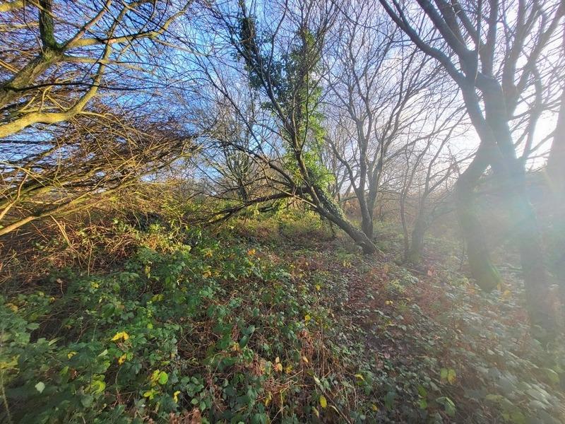 Terrain - 62 680 m²